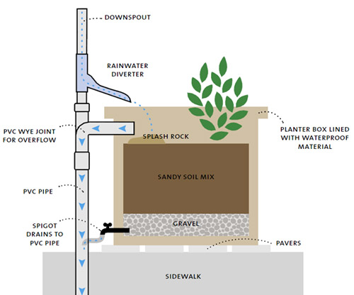 downspout rain garden diagram