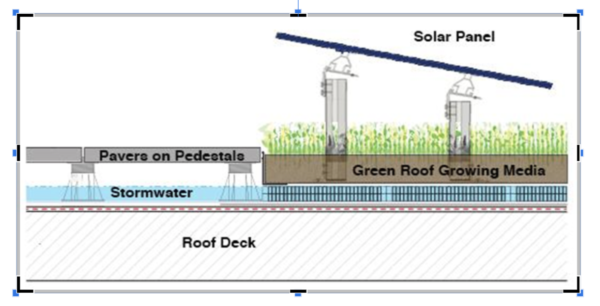 green roof nyc